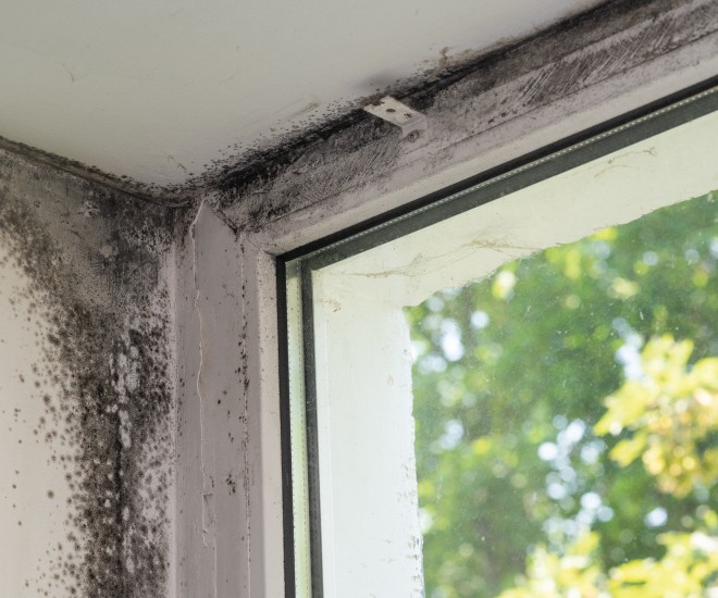  Čo je syndróm chorých budov a ako ho riešiť